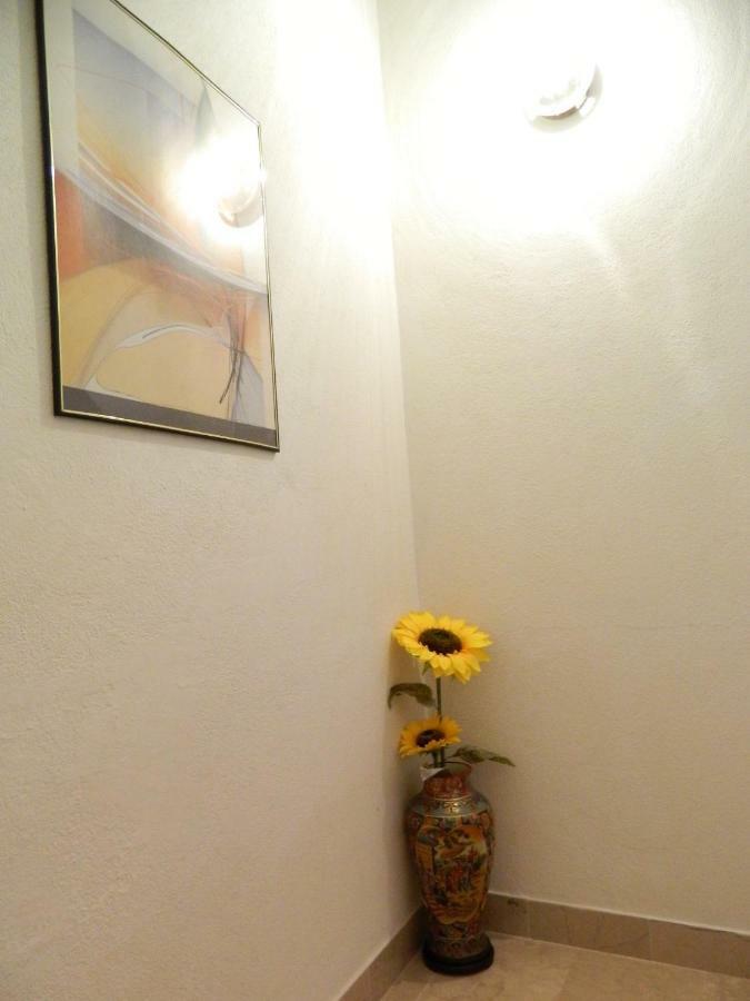 Apartament Ema Brela Zewnętrze zdjęcie